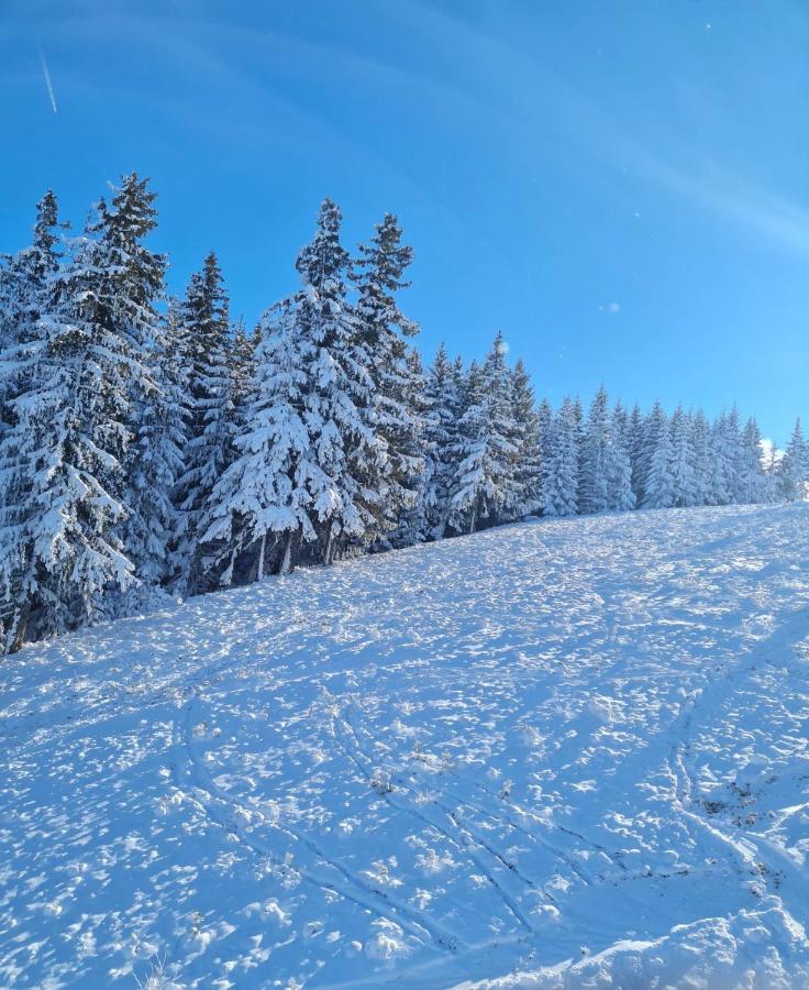 Flora Ski-Slope Studio Apartment Borovets Exterior photo